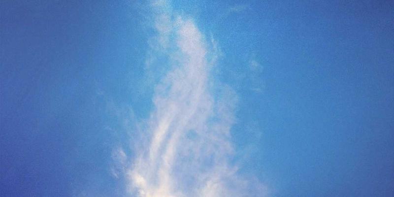 从内而外的美丽革命:PCOS女孩的饮食运动指南与外在自信重塑